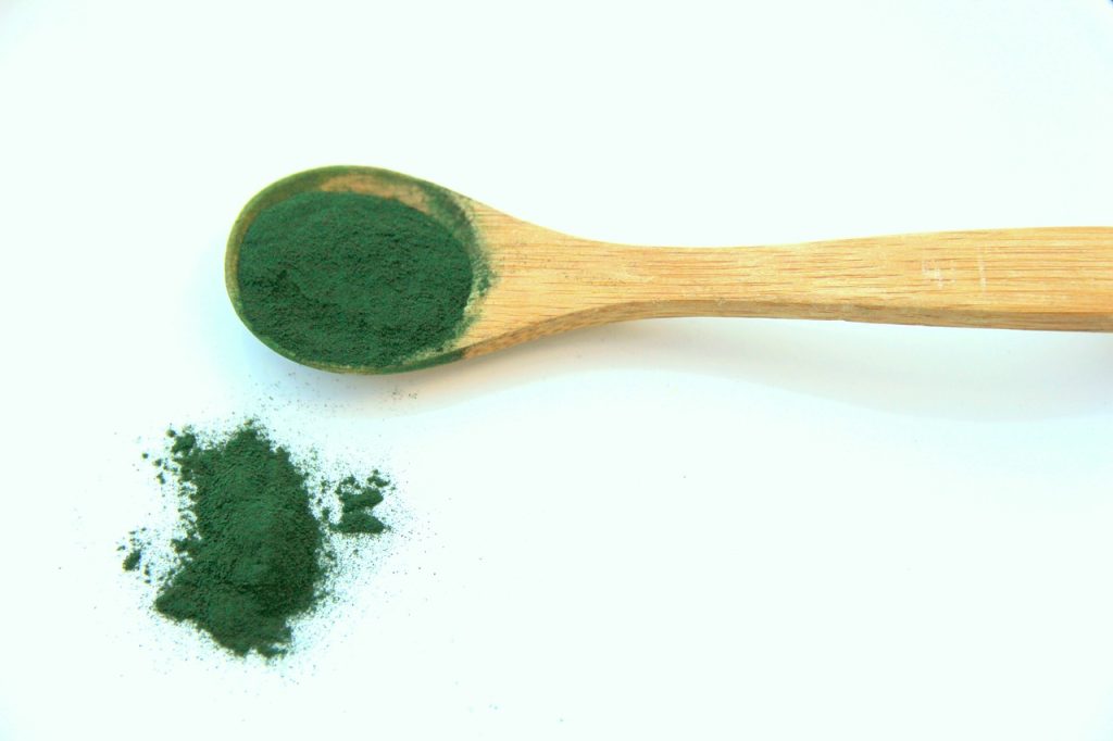 spirulina-1829080_1280
